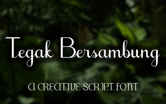 Tegak Bersambung: A Flowing Script Font for Balanced, Expressive Design